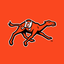 Campbell Fighting Camels icon