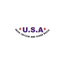 USA Fried Chicken. icon