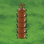 BeetleWorm icon