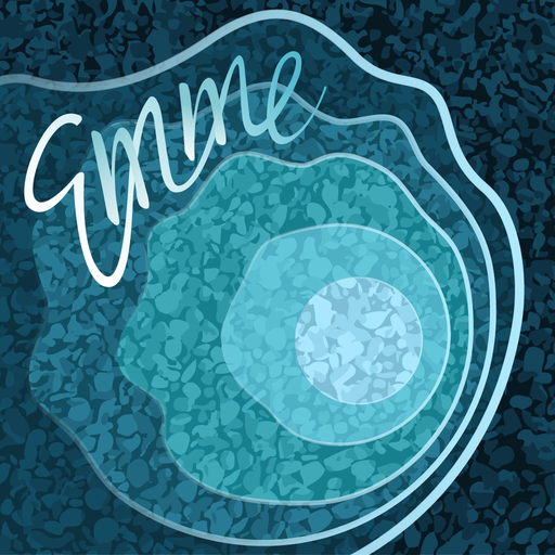 Einfluss Emme app icon