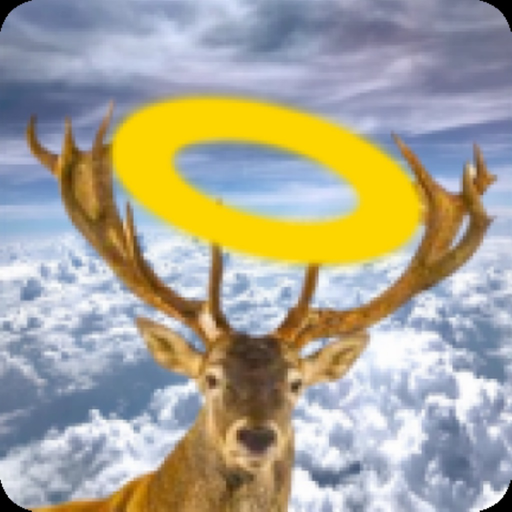 Roadkill Art app icon