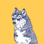 Smart Husky Stickers icon