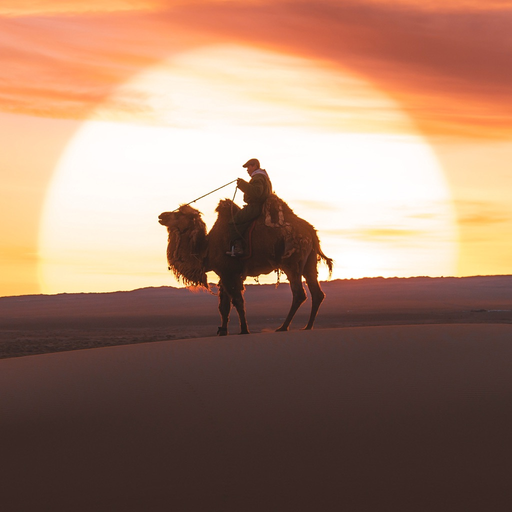Welcome to Mongolia app icon