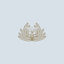 Taxonapp icon