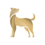 Shinyu: Pet Sitters & Walkers icon