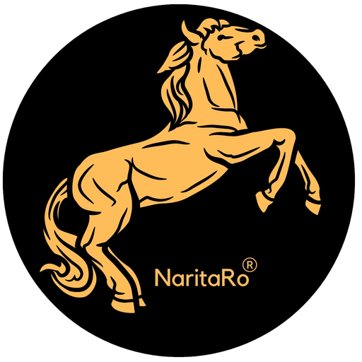 NaritaRo app icon