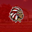 Oak Hill Academy Live icon
