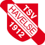 TSV Havelse - Fan-App icon