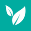 Synfield icon