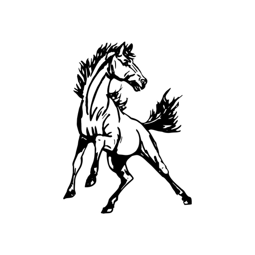 Cedar Vale Schools app icon