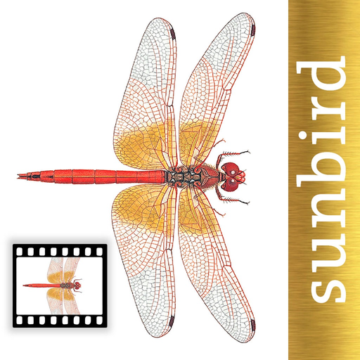 Dragonfly Id Britain & Europe app icon