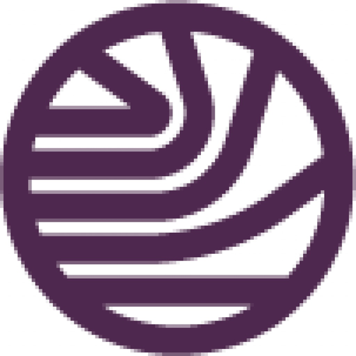ErmiMotion app icon