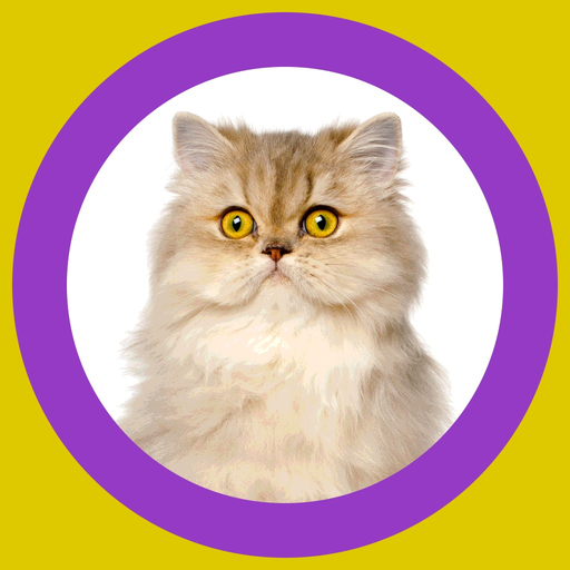 Cat Show 360x app icon