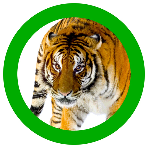 Animals 360 app icon