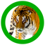 Animals 360 icon