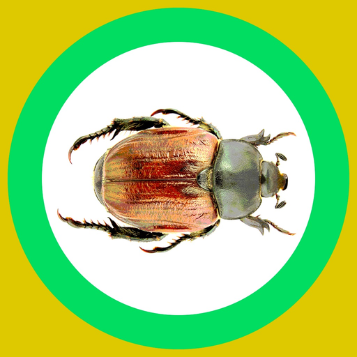 InsectSpider Quest 360x app icon