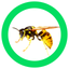 InsectSpider Quest 360 icon