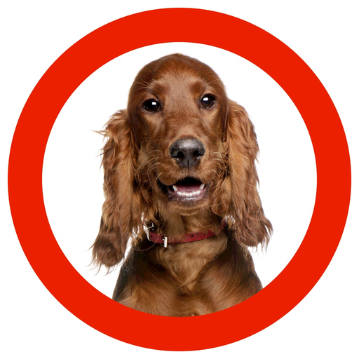 Dog Show 360 app icon
