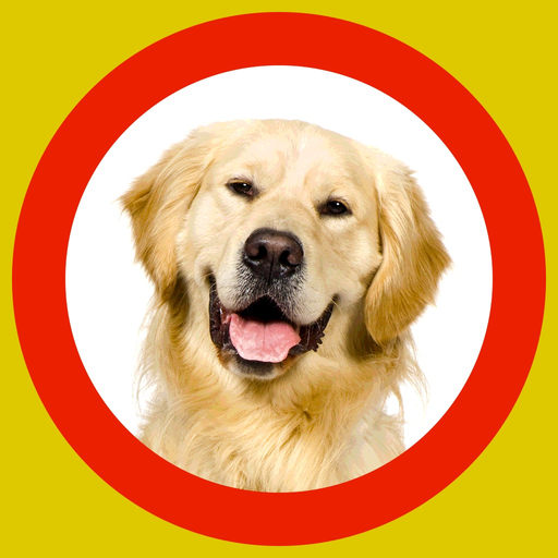 Dog Show 360x app icon