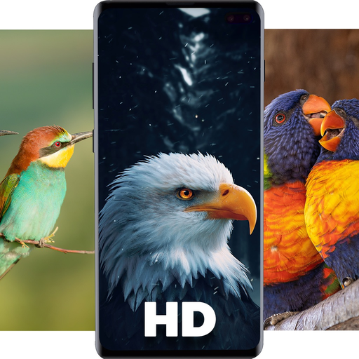 Birds Wallpapers HD app icon