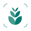 Plant identifier care guide icon