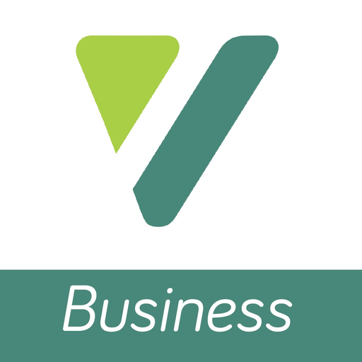 VllesaWallet Business app icon