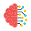 Brain Game - Trainer icon