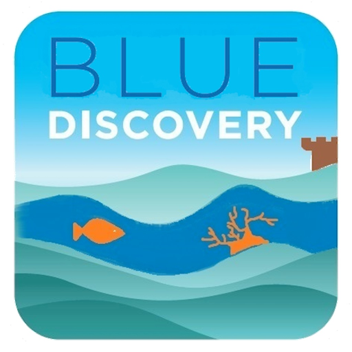 BlueDiscovery app icon