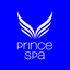 Prince Training icon