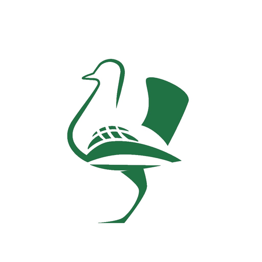 Castro Verde app icon