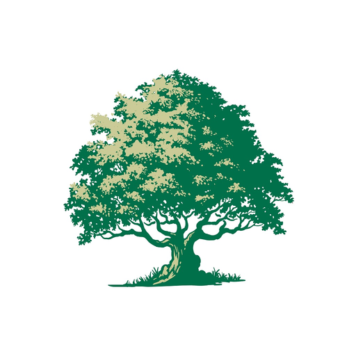 Lone Oak Bank app icon