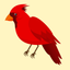 Birds Life Stickers! icon