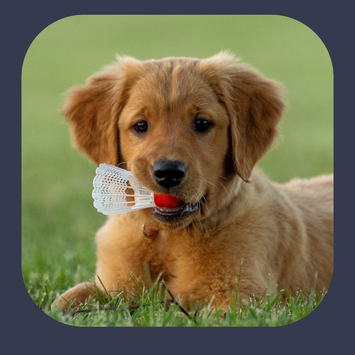 Dog Sounds - Clicker Trainer app icon