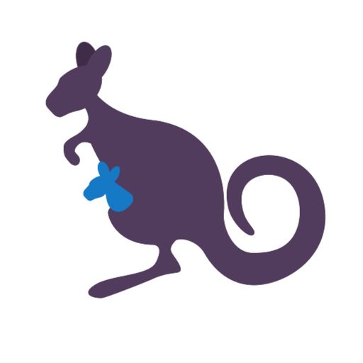 KT Connect app icon
