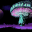 Guardians of the wishes icon