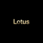 Lotus Cidade icon