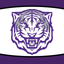 Jacksboro Tigers Athletics icon