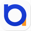 Briclay Biz icon