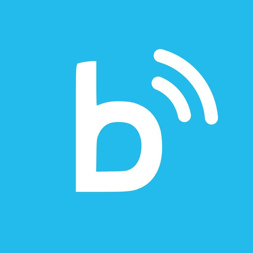 Birka Global eSIM Hub app icon