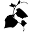 Northwest Vines icon