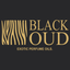 BLACKOUD icon