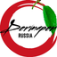 Dermapen Russia icon