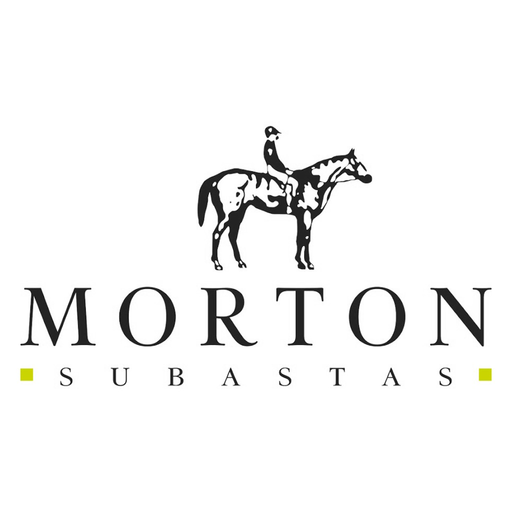 Morton Subastas Auction House app icon