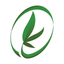 Encanto Tree I icon
