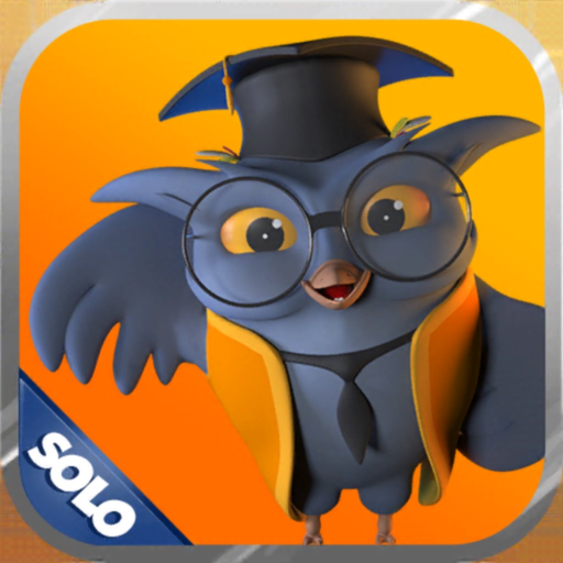 Bilgelik Solo app icon