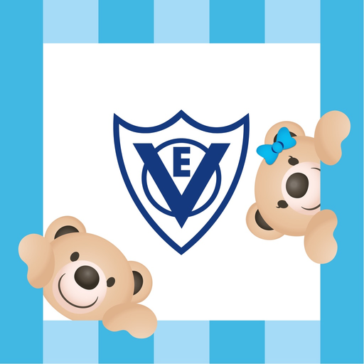 VEO Home app icon