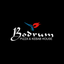 Bodrum Pizza and Kebab icon
