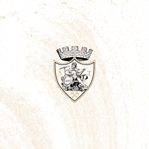 Salina Turda App app icon