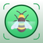 Bug Sound Identifier Insect ID icon