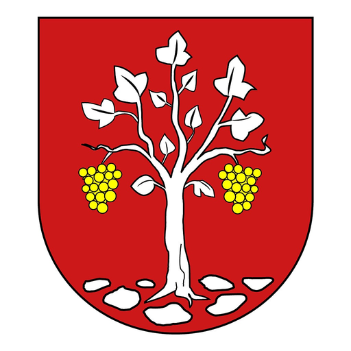 Veľký Kamenec app icon